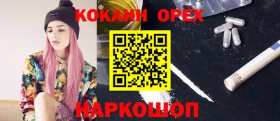 спайс Моздок