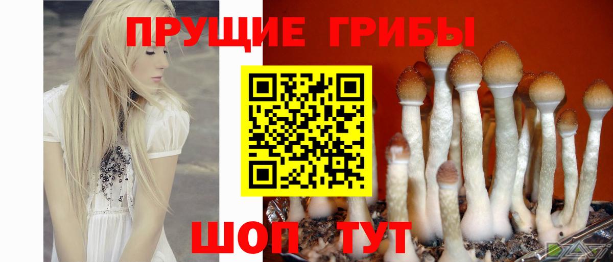 Галлюциногенные грибы MAGIC MUSHROOMS  хочу   Узловая  Вход с VPN 